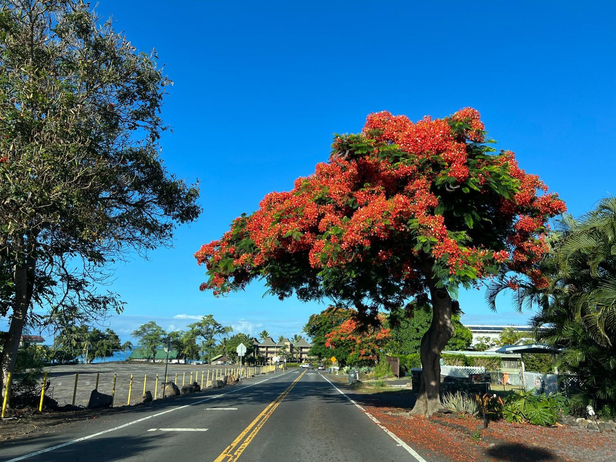 Ferienwohnung MaiLan Hale Kailua-Kona Exterior foto